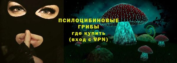 молекула духа Балахна