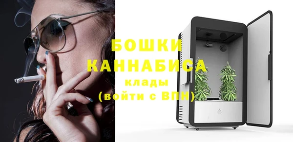 молекула духа Балахна