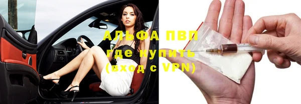 молекула духа Балахна