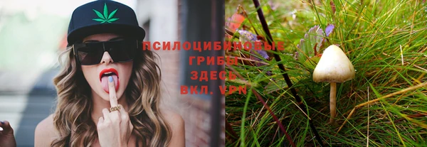 молекула духа Балахна